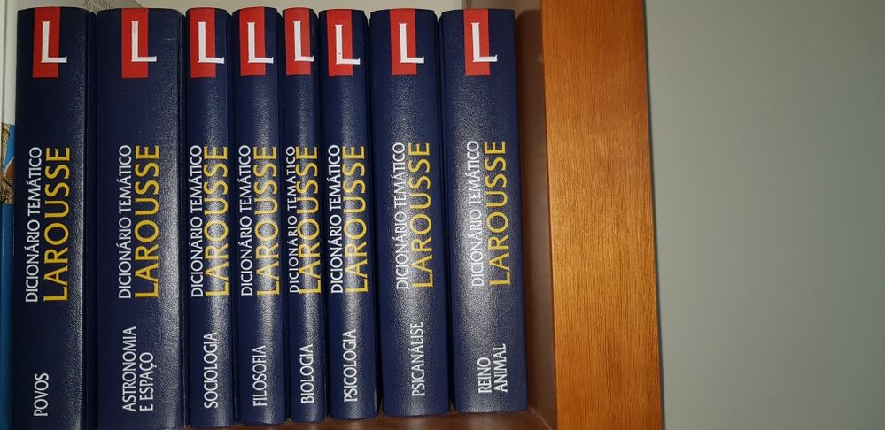 Dicionários Temáticos Larousse (20 volumes)