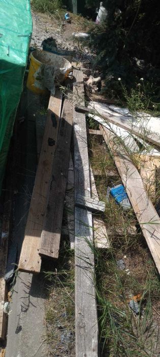 Oddam gratis drewno sosnowe do palenia