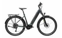 Rower elektryczny ebike PELLS Thorr City Bafang S/M/L FV23