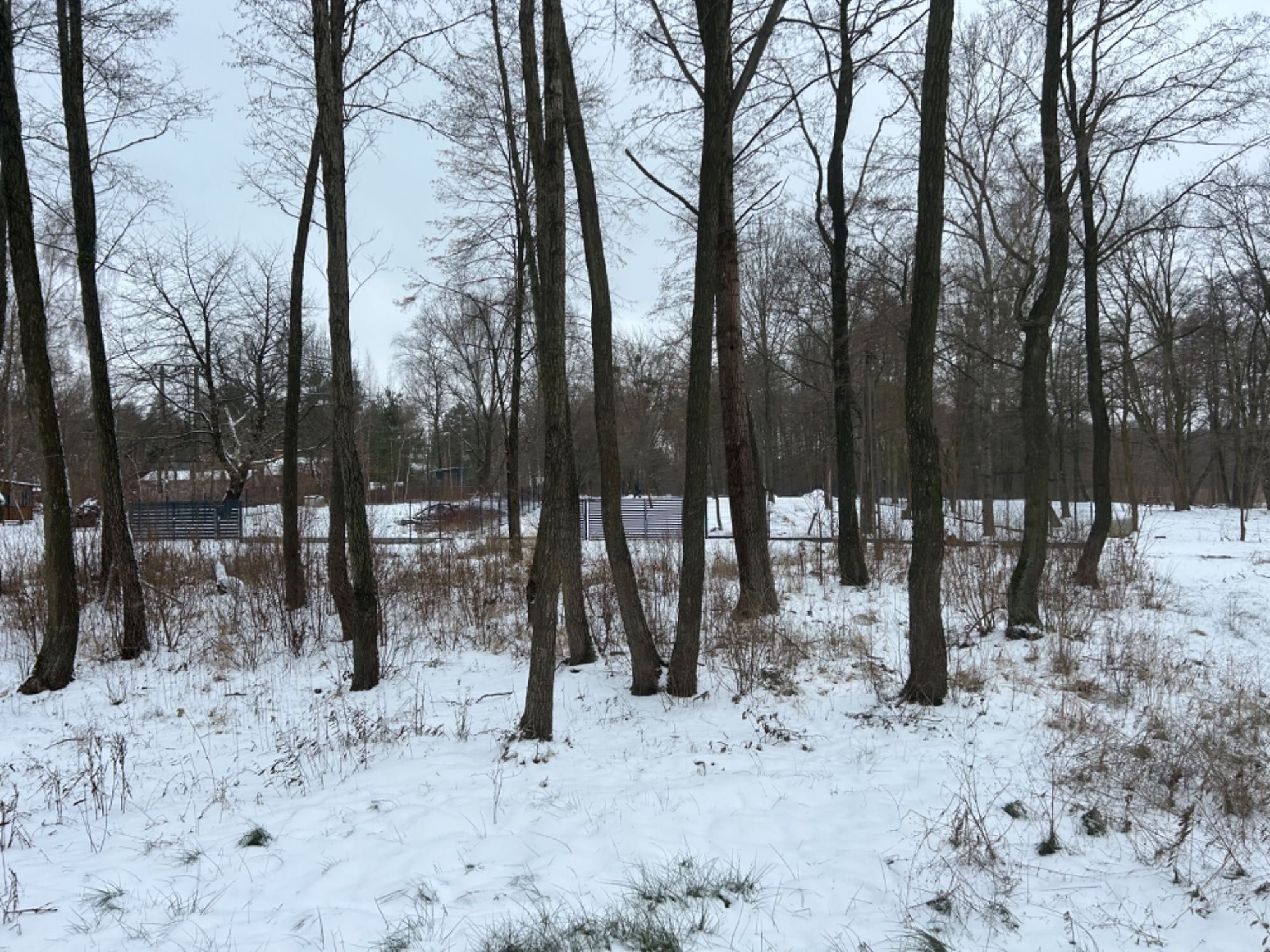 Z widokiem na jezioro Łukcze.