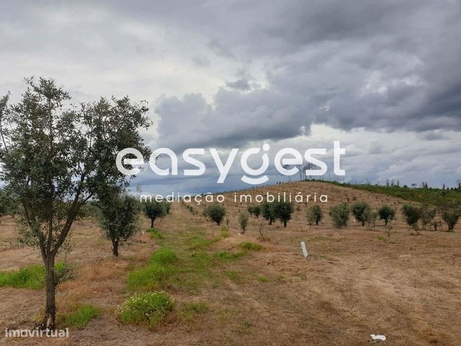 Quinta agrícola em Travancinha, Concelho de Seia