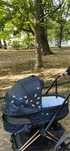 Gondola 2.0 cybex Priam jewels of nature