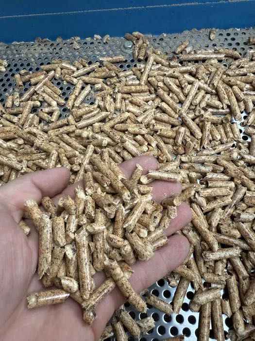 Pellet sosnowy 100% eco A1 GRATIS DOSTAWA producent CHAMAR Złotów