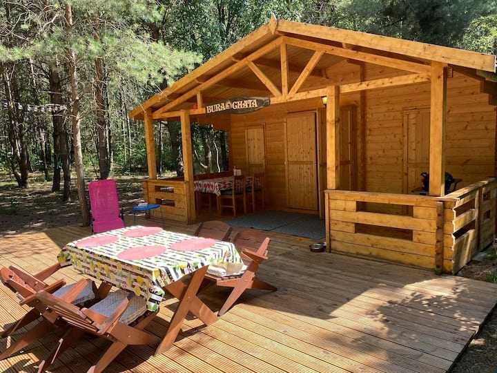 Domek w środku lasu całoroczny z balią i sauną na wynajem