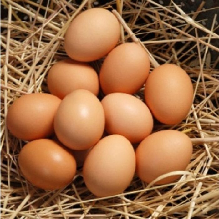 Домашні курячі яйця