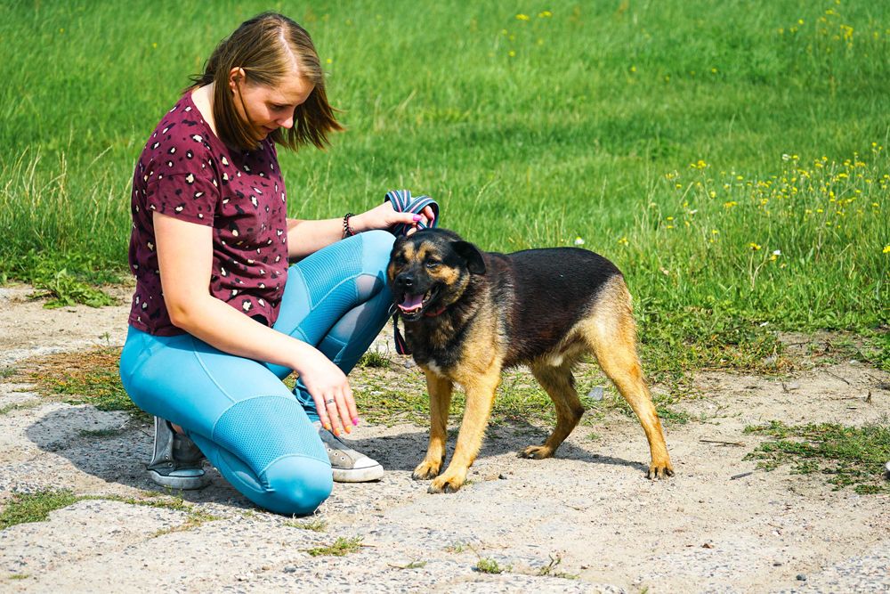 VIRGO - śliczny piesek szuka domu