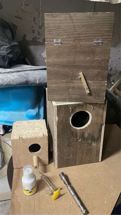 Ninhos para caturras , lanterna e ceringa para domesticar aves