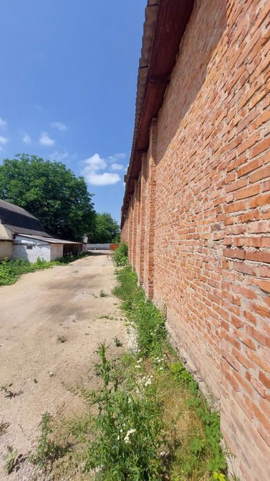 Продам завод з переробки насіння соняшника в олію.