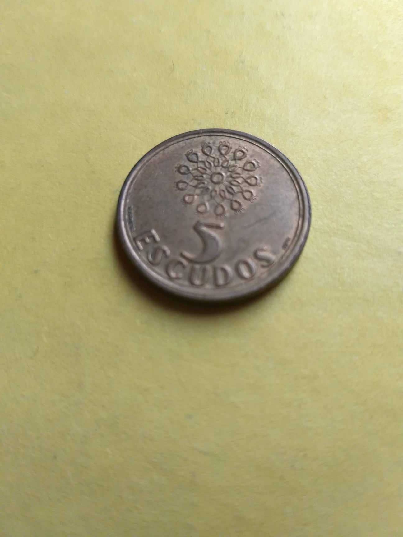 Cinco escudos (5$00)Latão Níquel 1998