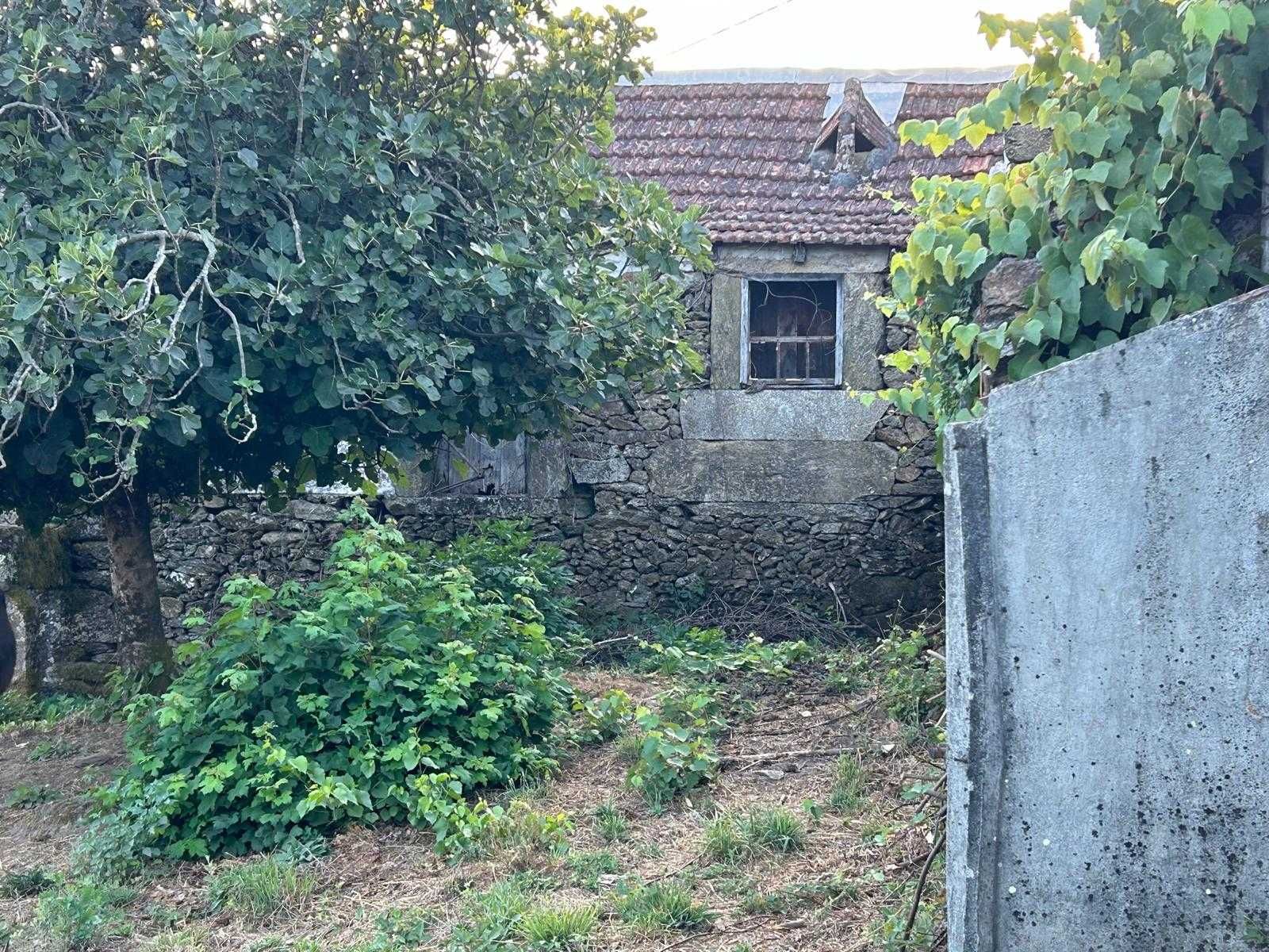 Terreno com casa para reconstrução - Barragem Venda Nova