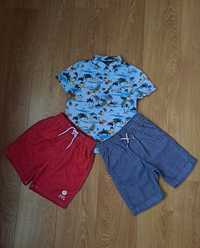 Летний набор для мальчика/ шорты/рубашка с коротким рукавом