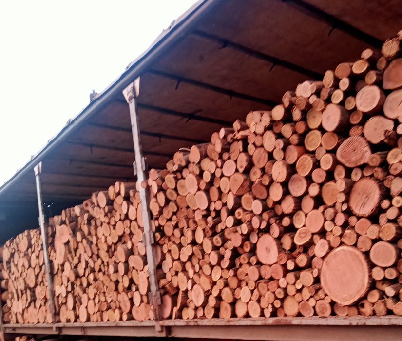 Продам дрова: сосна, береза дуб