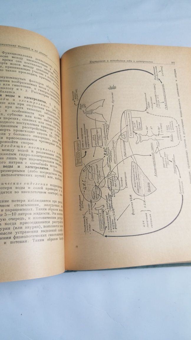 Введение в учение об инфекционных болезнях. Матей Г. Балш 1961г.