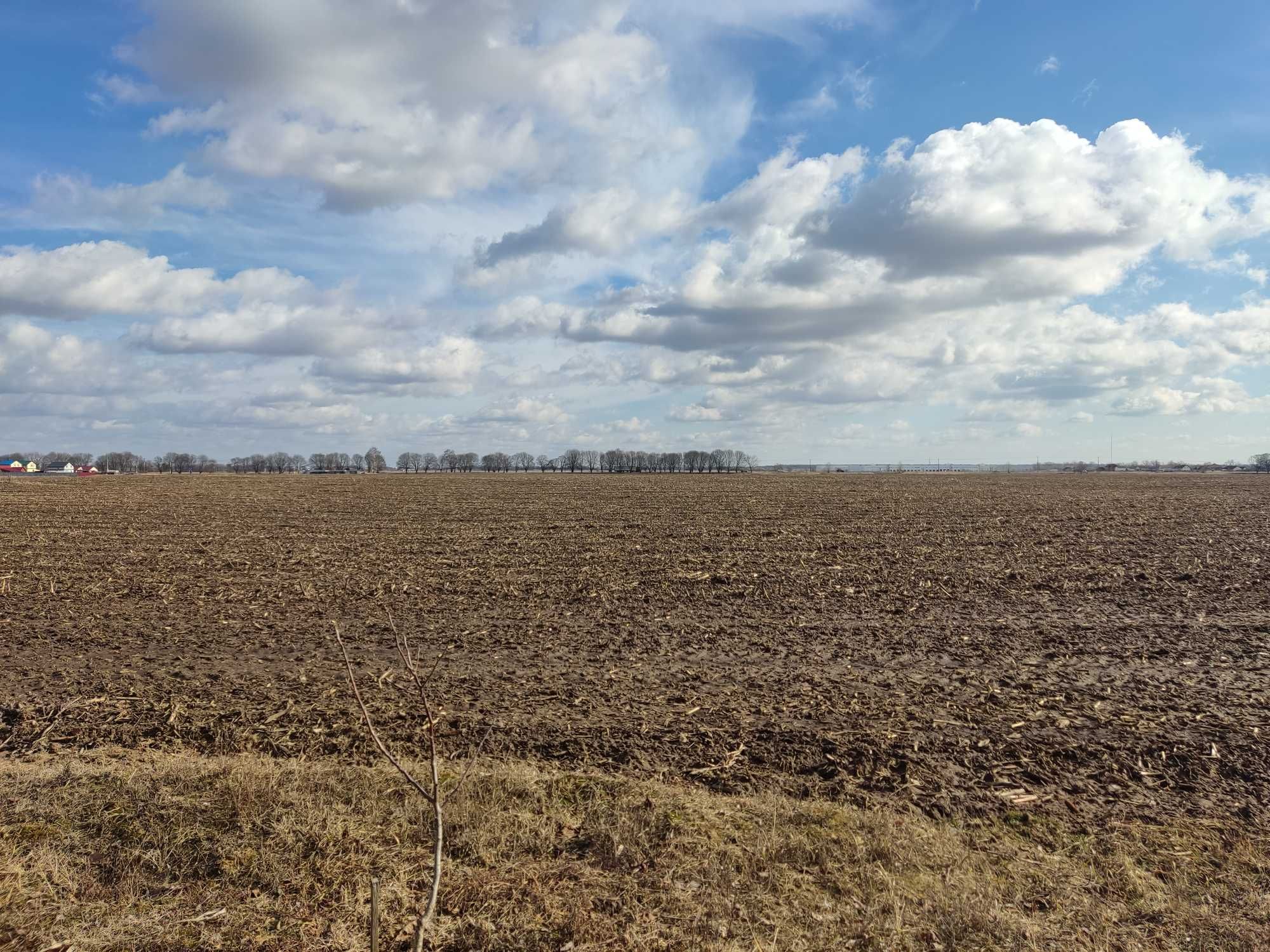 Участок Петропавловское Бориспольский рн, 1,2ГА под коттеджный городок