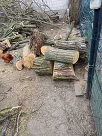 Drewno opałowe około 3 m3