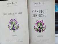 Livros de poesia