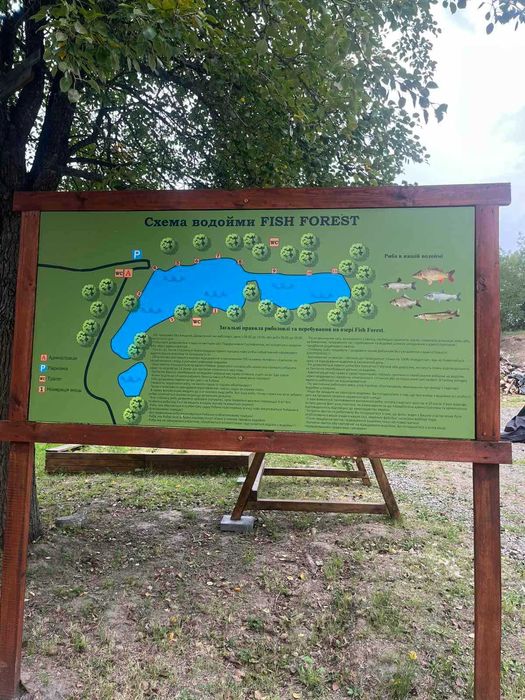 Продаж гарного діючого бізнесу Fish Forest