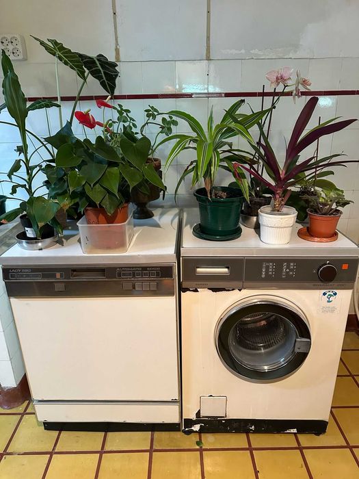 Recheio casa - cozinha