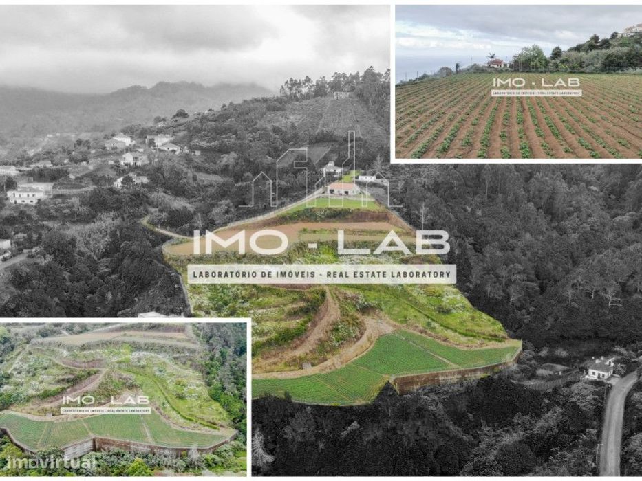 Armazém + 25.566m2 de Terreno Cultivado - São Jorge - Santana