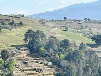 Terreno  para venda