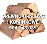 Drewno Buk dąb Iglaste