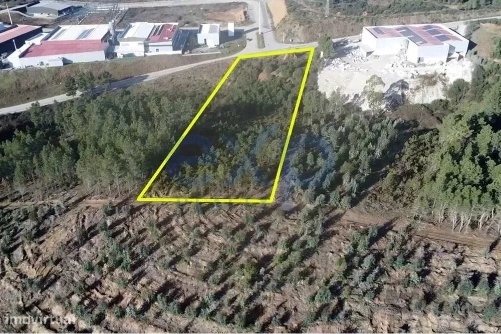 Terreno Rústico em Vila Real