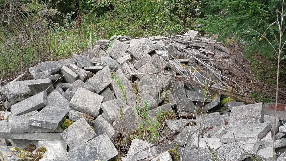 Trelinka i płyty chodnikowe