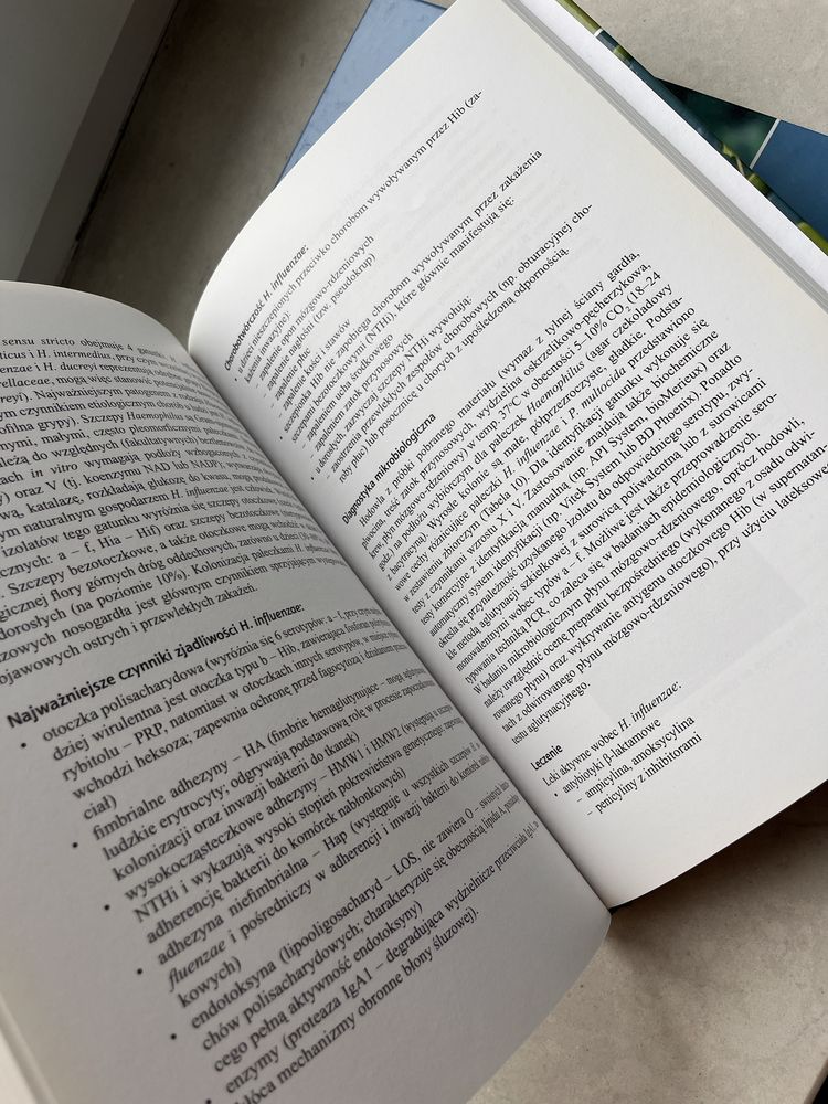 Mikrobiologia lekarska. Repetytorium z bakteriologii i wirusologii