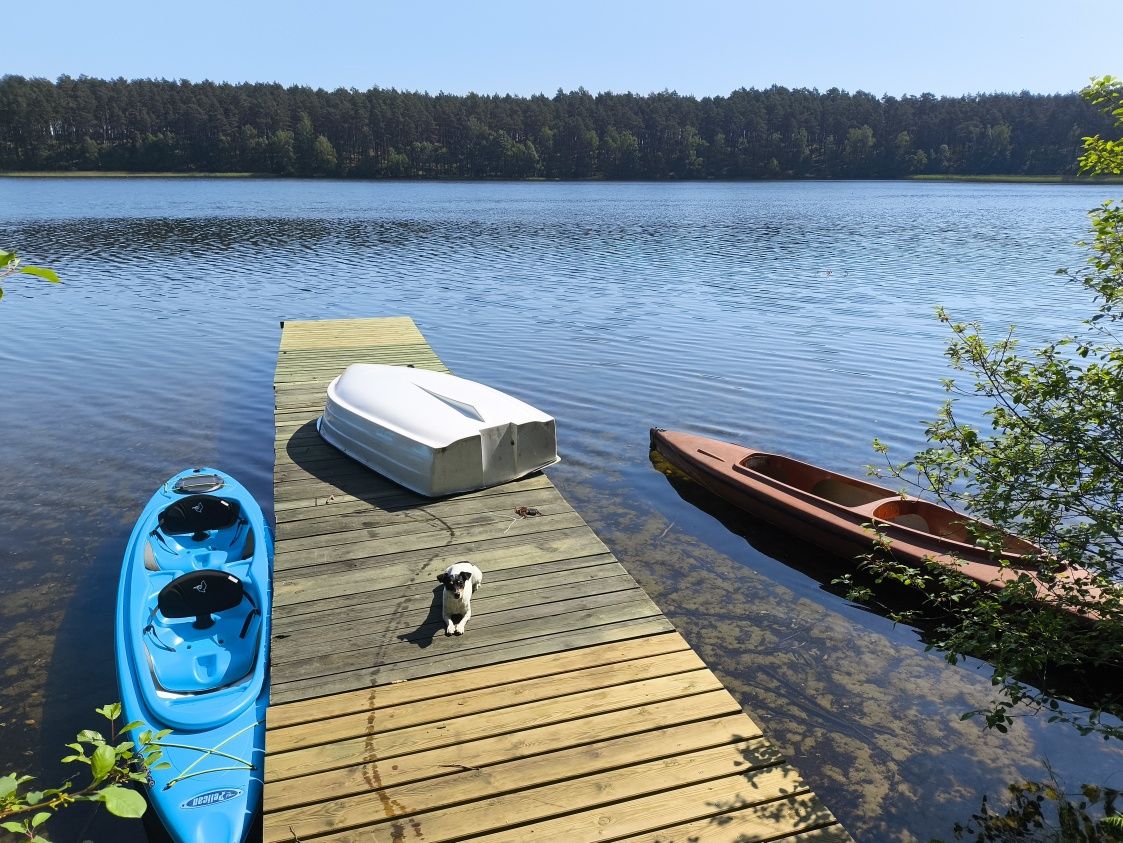 Dom nad jeziorem, otoczony lasem, Kaszuby