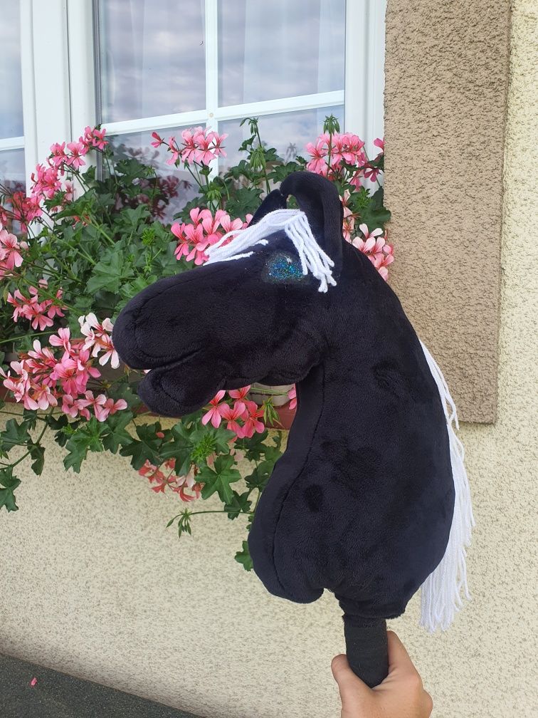 Piękny Hobby horse marwari prosty kary czarny