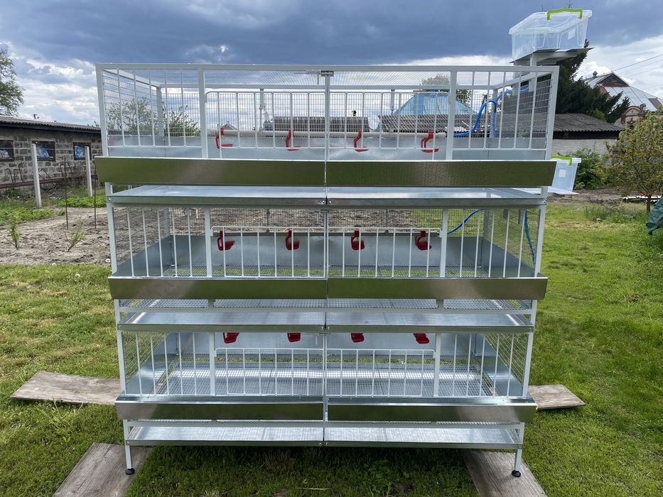 Клетка для бройлеров