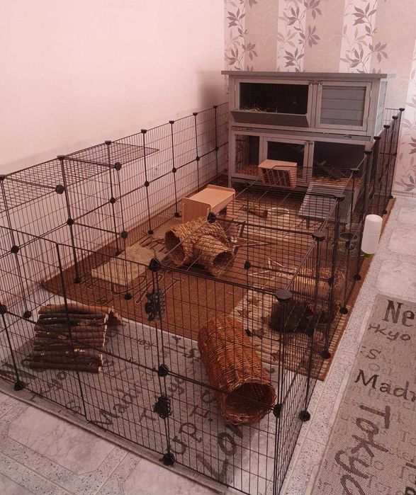 Wybieg NOWA Klatka Kojec dla KRÓLIKA Świnki Chomika PSA Modułowa DUŻA