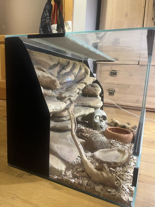 Terarium dla gekona i nie tylko. Pełne wyposażenie