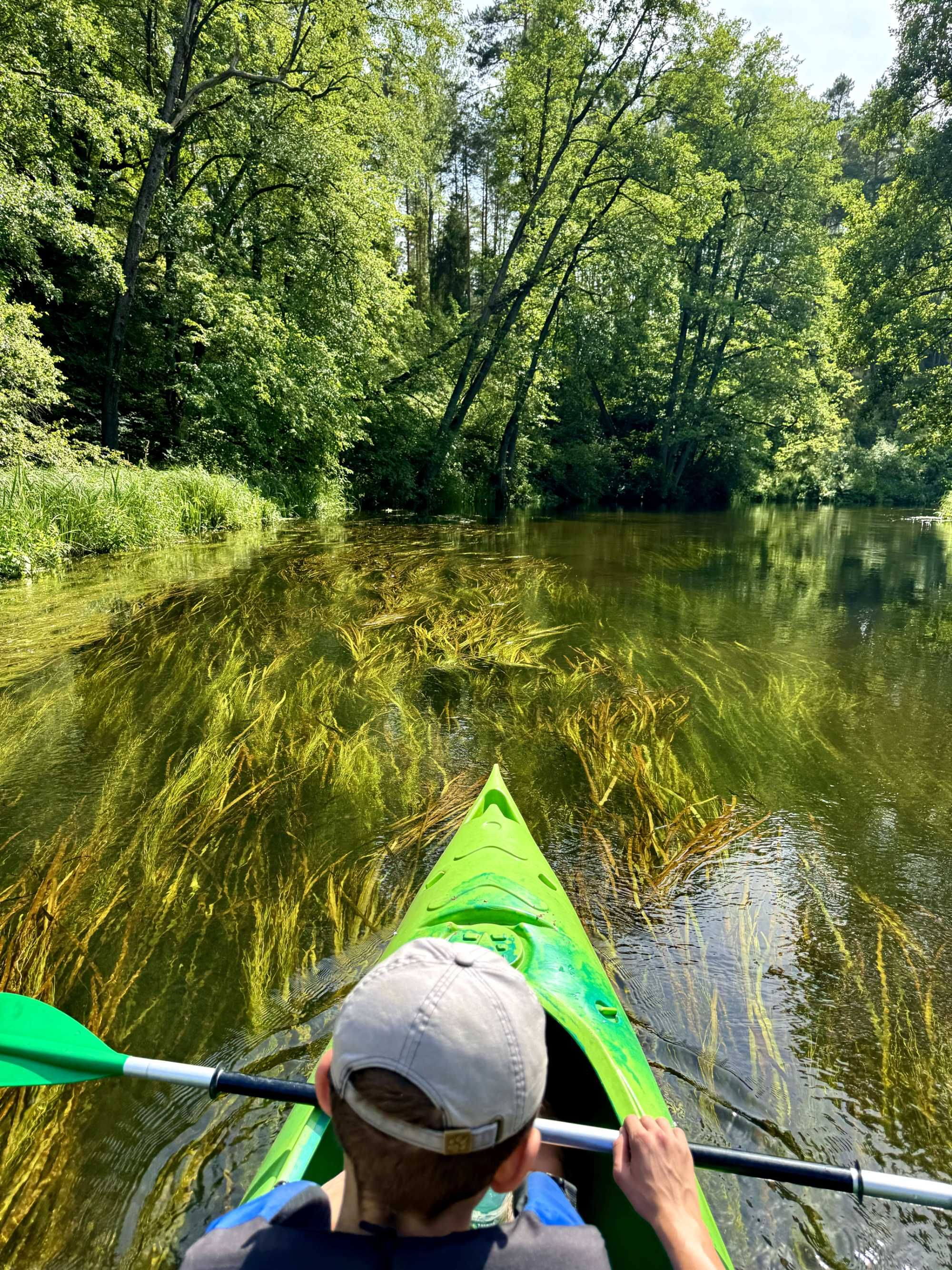 Spływy kajakowe rzeką Wdą do Tlenia – Stara Rzeka, Skarpa, Błędno
