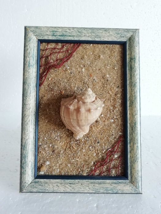 Moldura Artesanal Concha e Areia