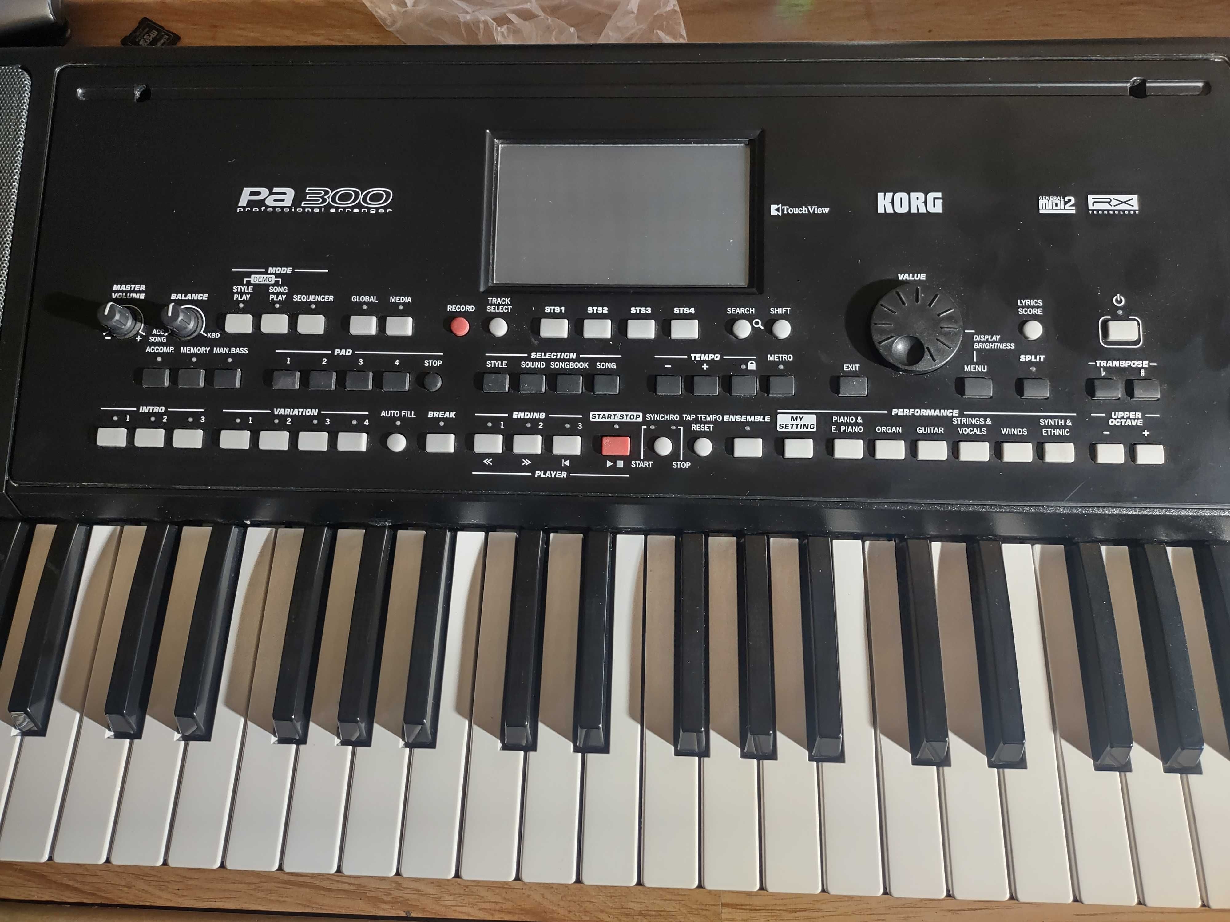 Korg pa 300 super stan
