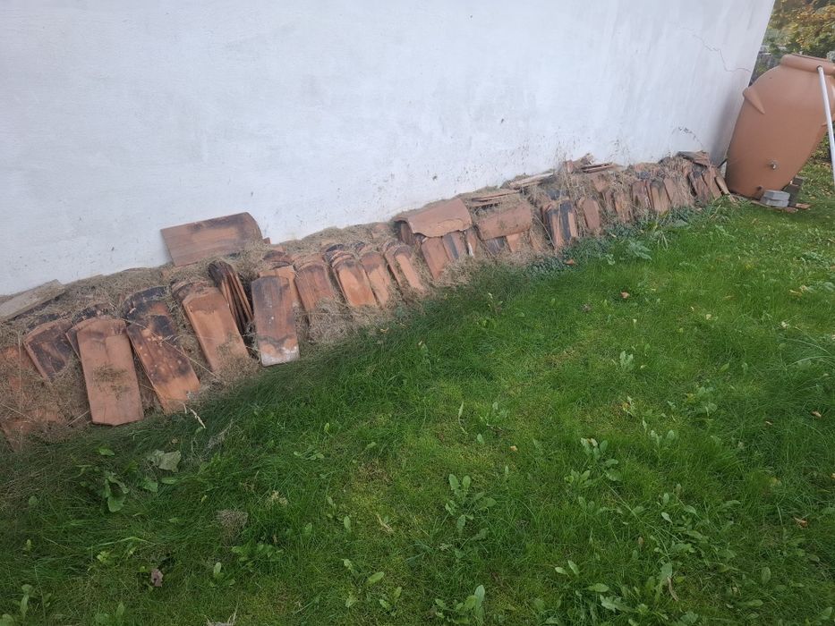 Oddam za darmo Dachówkę