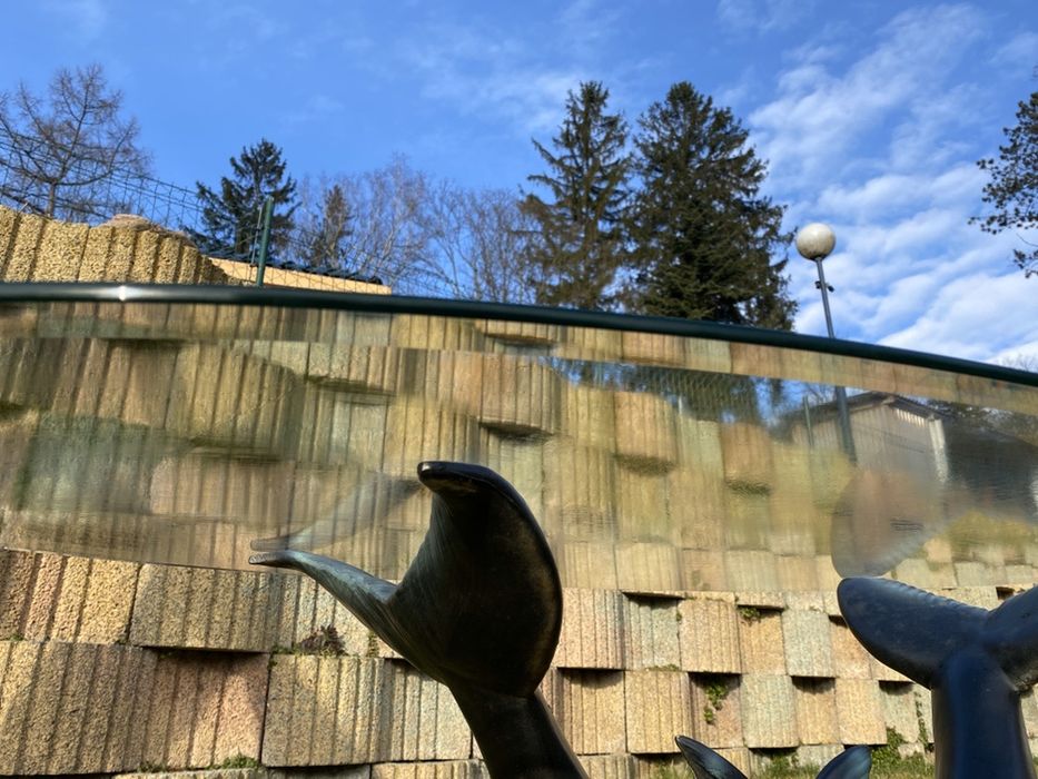 Ława stolik delfiny szyba hartowana