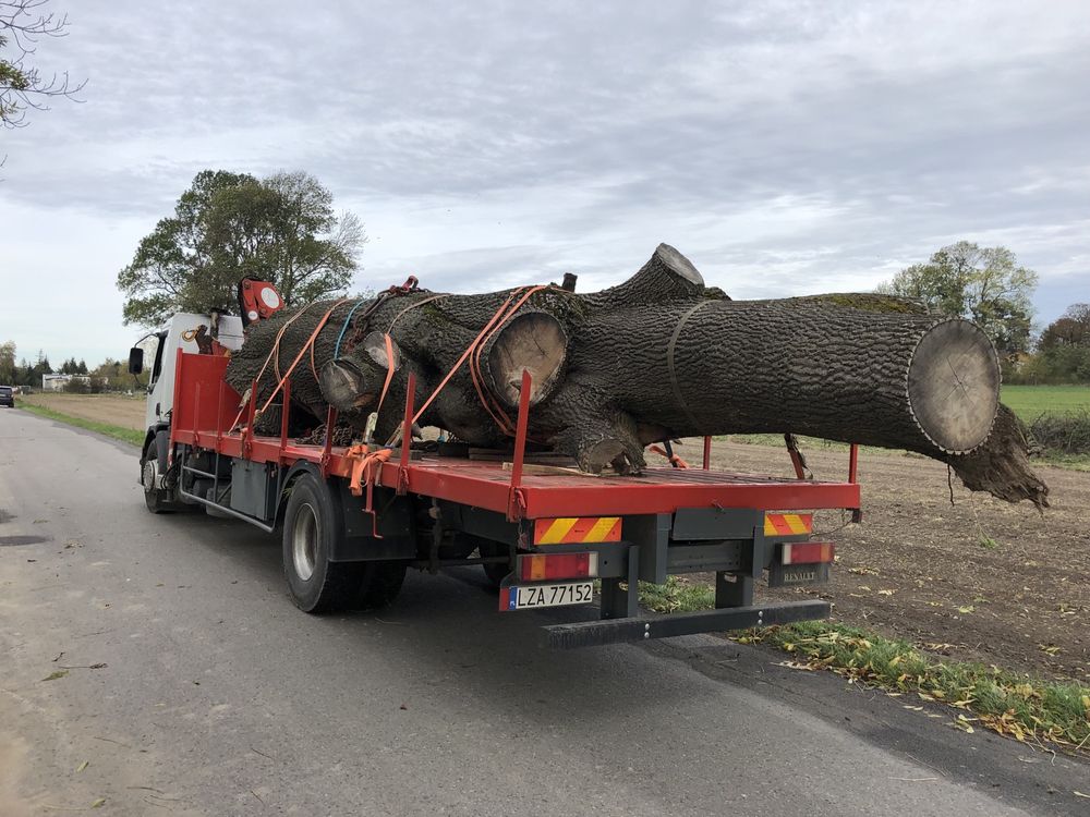 Usługi transportowe Transport HDS Żuraw