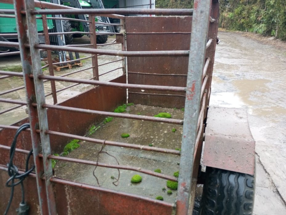 Przyczepka do przewozu zwierząt (rejestrowana)