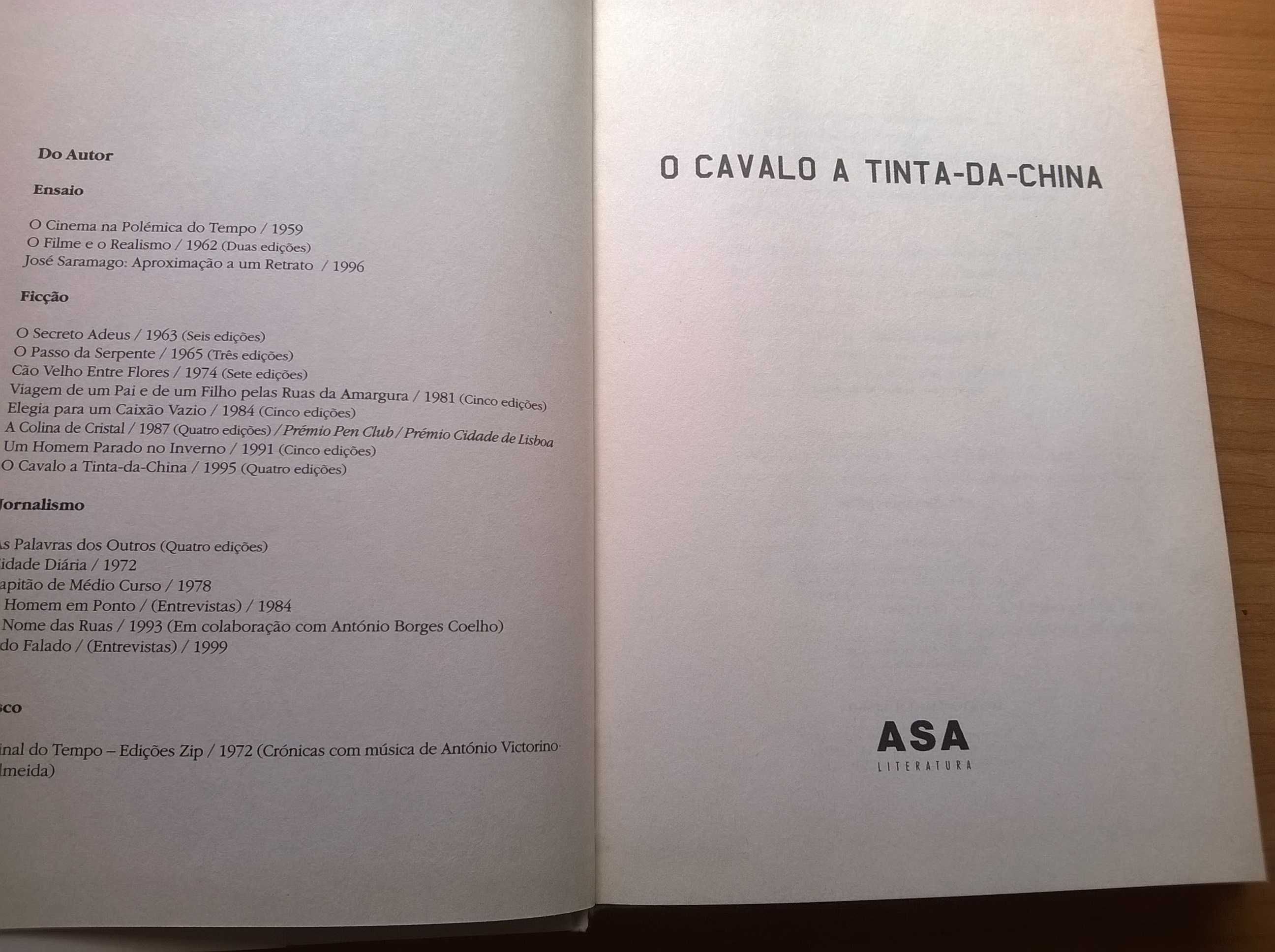 O Cavalo a Tinta da China - Baptista-Bastos (portes grátis)