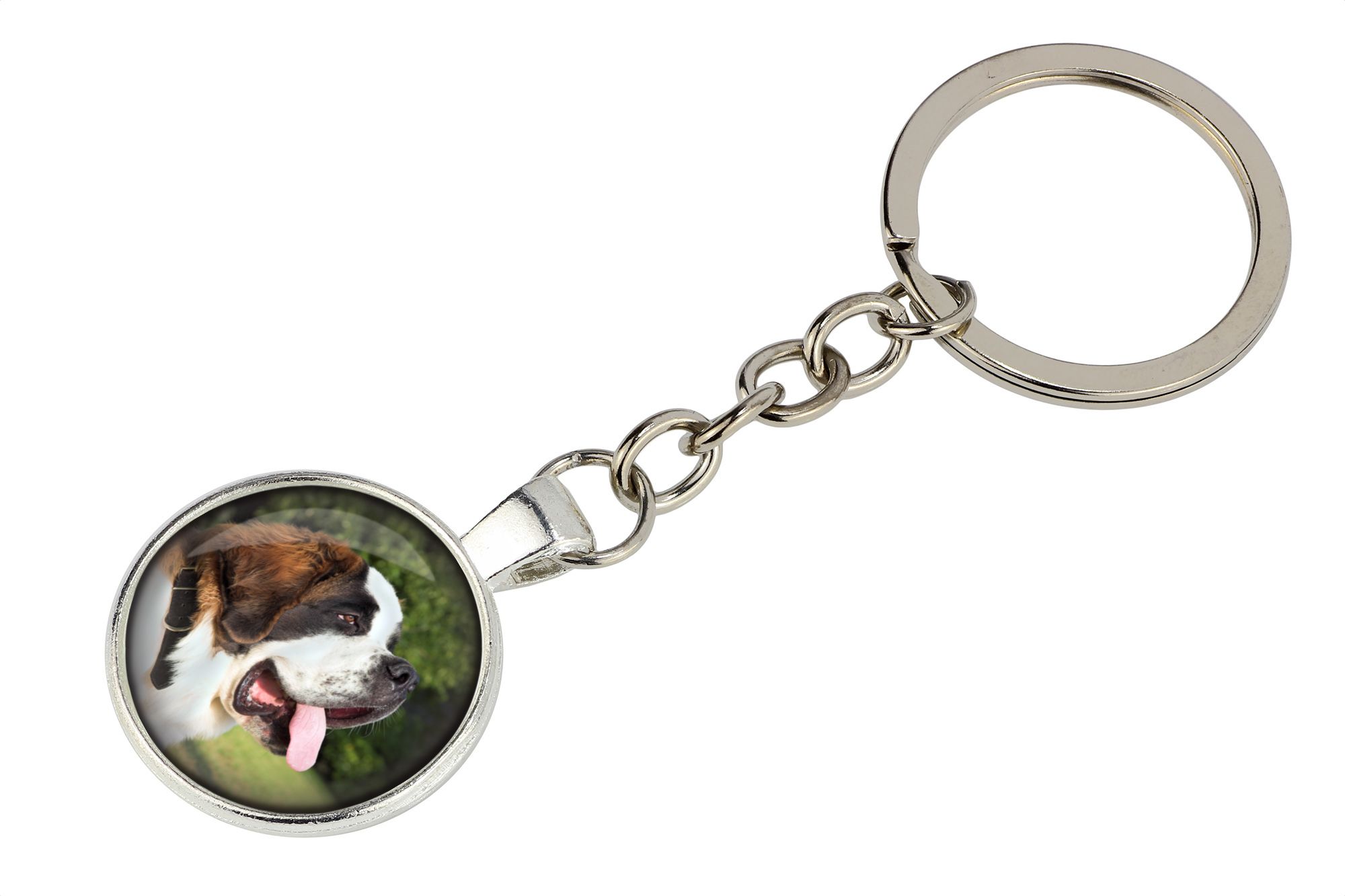 Bernardyn brelok w pudełku ze zdjęciem Art-Dog