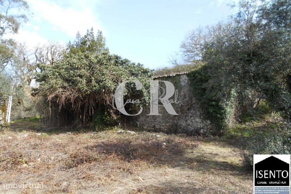 Casa em ruina para recuperar próxima da vila de Ansião.