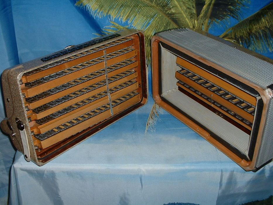 Acordeão Avenda G, .98