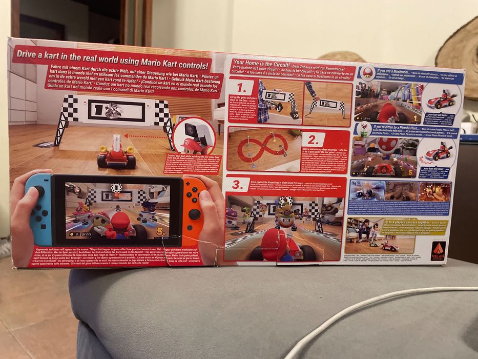 Mario kart Live Home Circuit