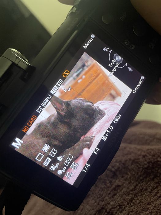 SONY NEX-3 bezlusterkowiec