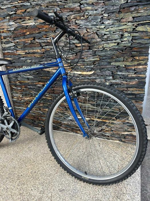 Bicicleta adulta – bom estado, totalmente funcional