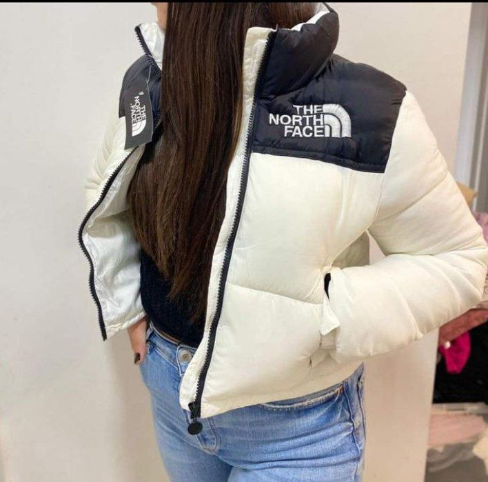 Kispo the north face