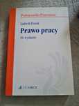 Prawo pracy wydanie 19. Ludwik Florek