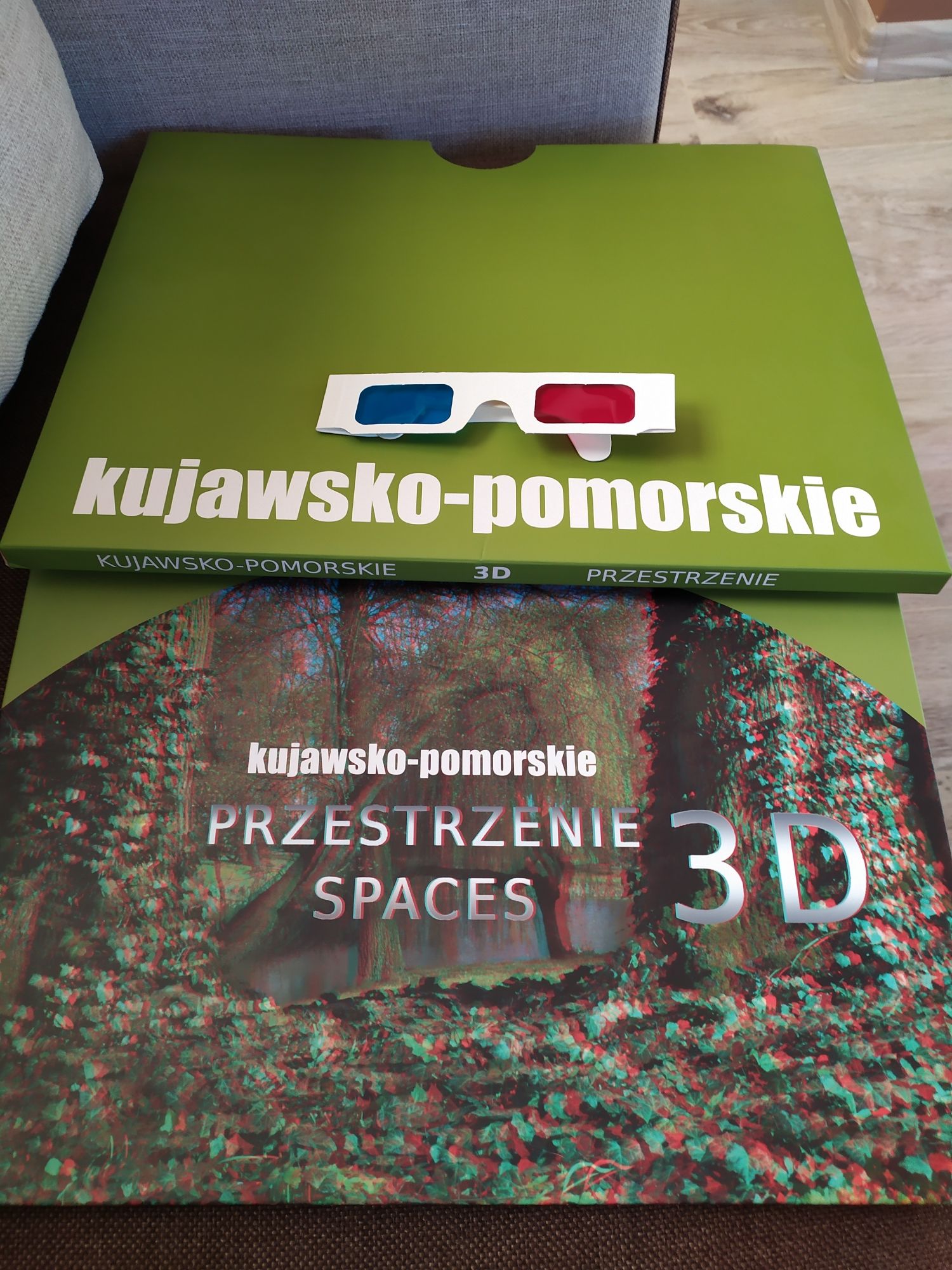 Kujawsko-pomorskie przestrzenie 3D